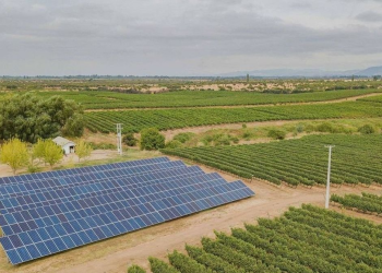 Paneles solares en fincas: ventajas y dudas para la producción de Mendoza