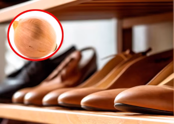 Tendencias: Por qué recomiendan dejar una cebolla blanca junto a los zapatos en el placard