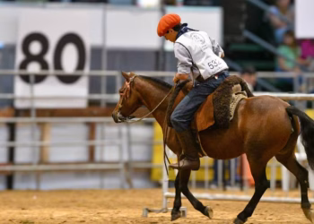 Polo kids, pruebas de salto y doma sin violencia: por qué los Petisos Argentinos son tendencia  entre los  más chicos