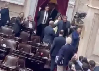 Ultraviolencia libertaria en Diputados: Zago a las piñas en el recinto y Lemoine ligó un vaso de agua