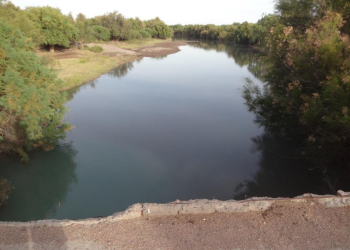 Paso del Loro, el pequeño paraje a 45 kilómetros de La Pampa que espera por la red eléctrica