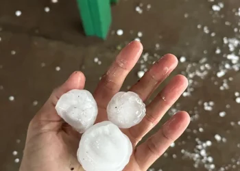 Casas destrozadas, árboles caídos y zonas que siguen sin agua: el saldo de la tormenta en la provincia de Mendoza