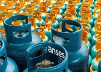 Programa Hogar ANSES: cómo saber si cobro en marzo de 2025