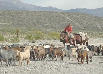 En el corazón de Soitué organizan la Fiesta del Puestero Mendocino