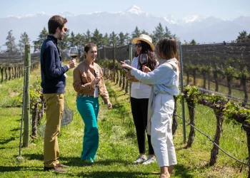 Turismo: los datos del fin de semana largo que celebró el Gobierno