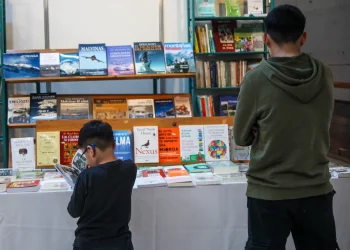 El 65% de los chicos en Mendoza tienen menos de 20 libros en sus casas