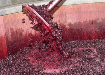 Desde la Cámara del Mosto analizan el impacto para el sector con los nuevos aranceles de Trump