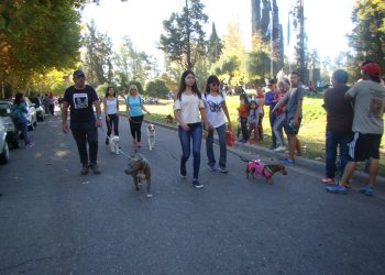 Organizan un gran «picnic peludo» en el Parque Yrigoyen por el Día del Animal