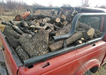 La leña para la «temporada de frío» llega con significativos aumentos