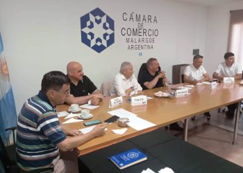 Las cámaras del Sur de Mendoza y Chile avanzan en una histórica asociación binacional