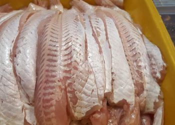 Semana Santa: El kilo de pescado supera los 10 mil pesos en San Rafael