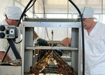 La sala de extracción de miel culminó la temporada con presencia de apicultores locales y de otras provincias