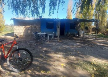 Día del animal: perro de la Policía fue clave para esclarecer un robo en Cuadro Nacional