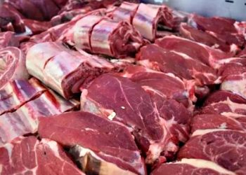 ¿Cómo impacta la salida del cepo en la industria de la carne?