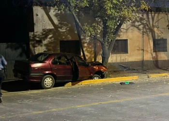 Otra tragedia en la provincia de Mendoza: Se quedó dormido, se estrelló contra un árbol y su murió su papá