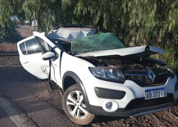 Otro accidente fatal en la provincia de Mendoza: derrapó, se estrelló contra un árbol y murió