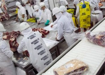 «No más carne de la Argentina»: la secretaria de Agricultura de EEUU pidió frenar importaciones