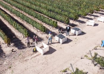 San Rafael también alzó la voz contra el «centralismo porteño» por la propuesta de eliminar la COVIAR