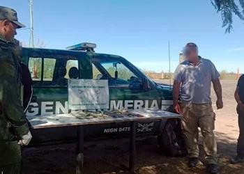 Viajaba  en colectivo desde Mendoza y le encontraron $150 millones en un paraje de San Juan