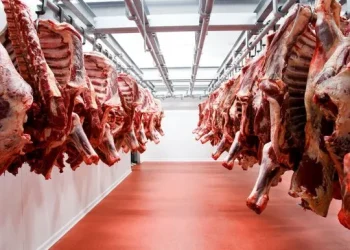 Para un ganadero, el arancel de EEUU a la carne de calidad argentina «podría terminar con ese mercado»