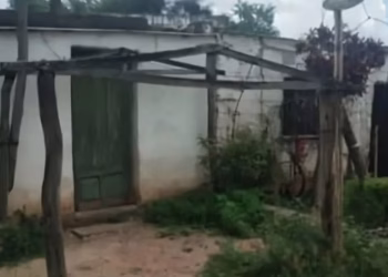 El caso que conmociona al país: detuvieron a dos hermanos acusados de haber asesinado a su mamá y su padrastro