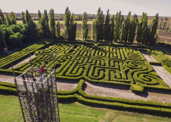 Infobae destacó al Laberinto de San Rafael como “el primer monumento en honor a Borges”