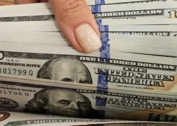 Plazo fijo en dólares: los bancos subieron la tasa y ahora pagan un mayor interés