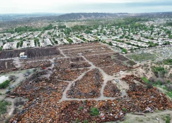 El Gobierno adjudicó el millonario contrato de gestión de playas de secuestro vehicular