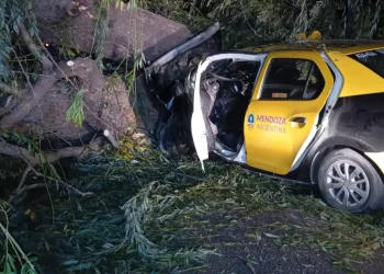 Terrible accidente en la provincia de Mendoza: un taxista murió tras chocar contra un gran árbol