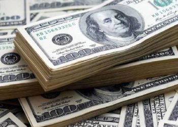 Un millón de personas compraron dólares en el primer mes sin cepo cambiario