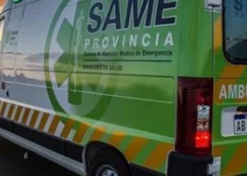 Gran Buenos Aires: Una madre mató a su hijo con autismo y se suicidó