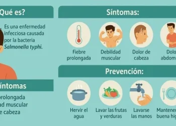 Alertan sobre un brote de fiebre tifoidea en el Conurbano