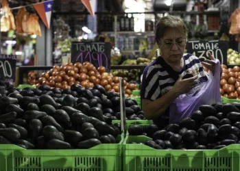 Leve suba del consumo en abril, tras 15 meses de caída