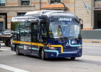Debutaron los buses eléctricos chinos en Argentina: Dónde funcionan y quiénes son las únicas personas que pueden conducirlos