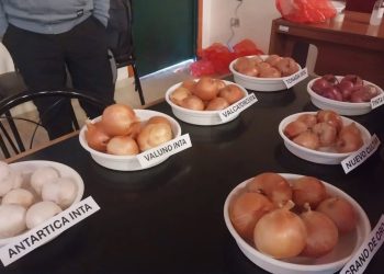 A sala llena se realizó la capacitación para promover el cultivo de cebolla en San Rafael