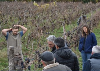 Real del Padre: técnicos del INTA trabajan para «encausar» las fincas tras el histórico temporal de enero
