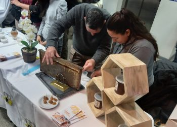 Trabajo conjunto de instituciones y productores para desarrollar la apicultura sanrafaelina