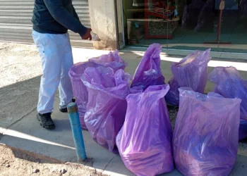 Decomisan más de 260 kilos de carne en mal estado en Mendoza