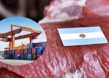 Exportaciones de carne: suben las ventas a EEUU y se retraen los envíos a China