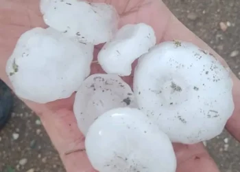 “Refuerza Mendoza”: de qué se trata el programa para asistir a productores afectados por granizo y heladas