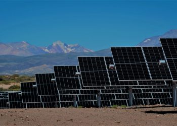 Parque Solar de San Rafael: Habilitan a Genneia para operar en el mercado eléctrico mayorista