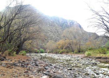 Corta anual de riego en el Atuel: obras de mantenimiento y expectativa en cuanto a las precipitaciones