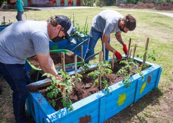 Alumnos de Ciencias Aplicadas promueven el compostaje para mejorar la calidad del suelo en la agricultura