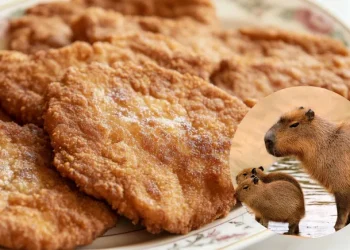 Vendían «milanesas de carpinchos»: rescataron dos crías y encontraron nutrias en un freezer