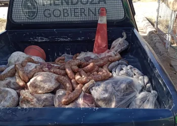 Incautaron más de 400 kilos de carne en dos negocios de Maipú en dudoso estado