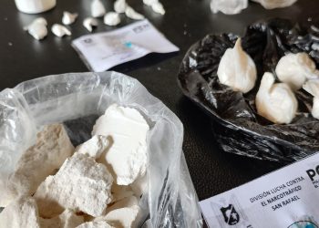 Secuestran droga y detienen a una mujer en la Isla del río Diamante