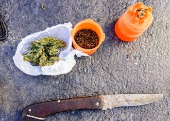 Alvear: detienen a un joven con marihuana y dos navajas