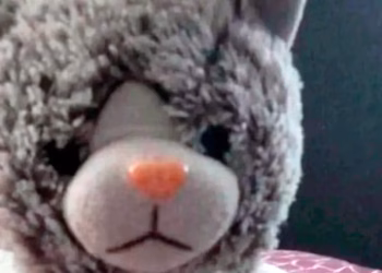 Una familia mendocina fue extorsionada para recuperar el peluche de su hijo con autismo: le hicieron pagar $ 200 mil