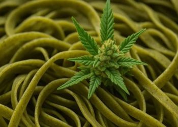 «Tenemos paquetes de fideos», decían cuando los paró la policía y llevaban 230 kilos de marihuana en el camión