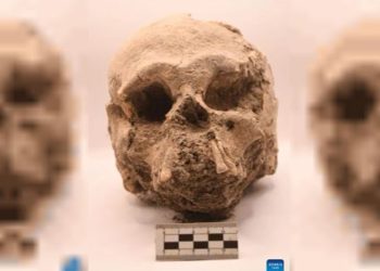 Guatemala: descubren «Los Abuelos», uno de los centros ceremoniales más antiguos de la civilización maya